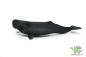 Preview: Schleich Pottwal 14764